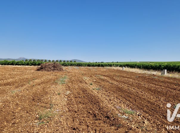 ADISSAN, Occitanie 34230
