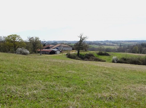 Caupenne, Nouvelle-Aquitaine 40250