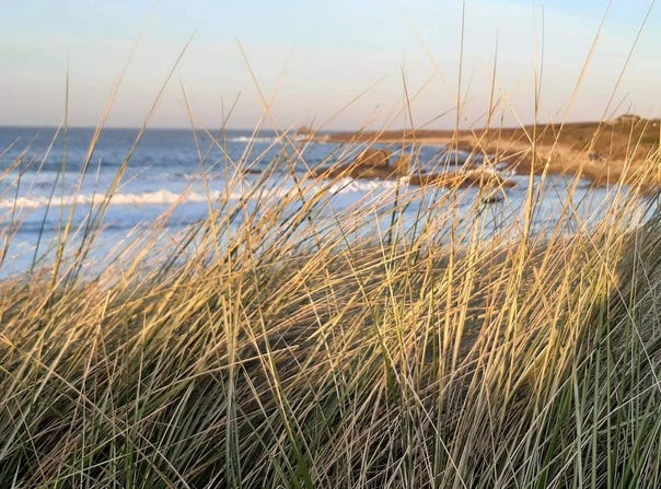 Plouguerneau, Finistère 29880