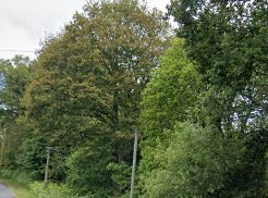 Lanvénégen, Brittany 56320