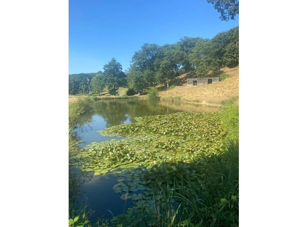 Champeaux, Ille-et-Vilaine 35500