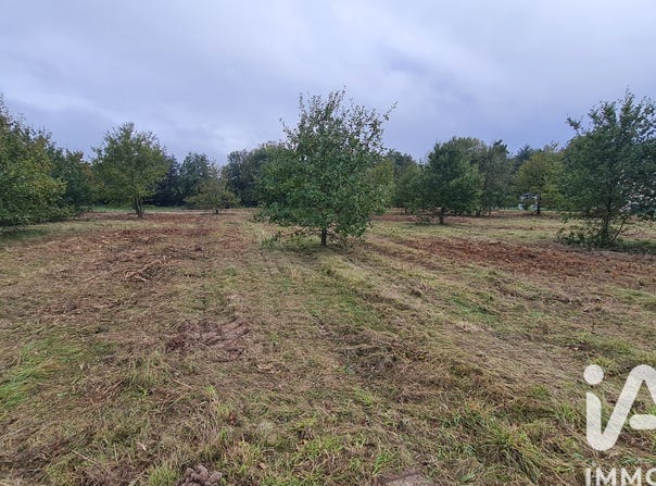 Coudroy, Centre-Val de Loire 45260