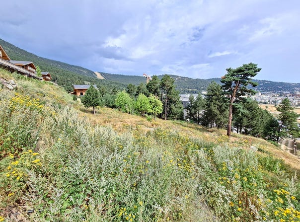 LES ANGLES, Occitanie 66210