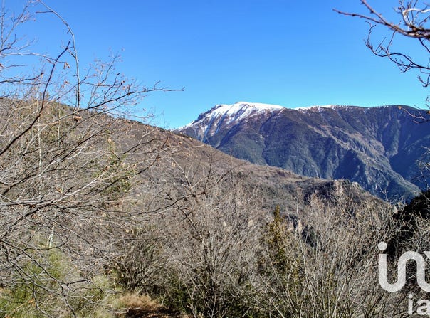 ROUBION, Provence-Alpes-Côte d'Azur 06420
