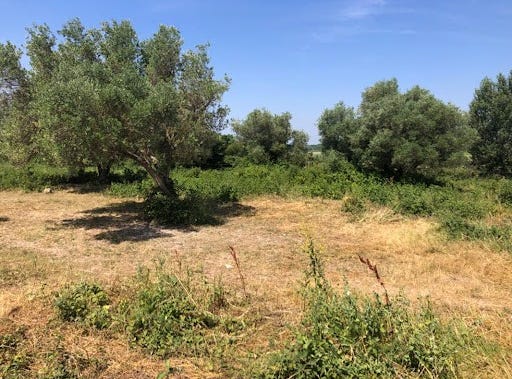 Saint-Hilaire-d'Ozilhan, Occitanie 30210