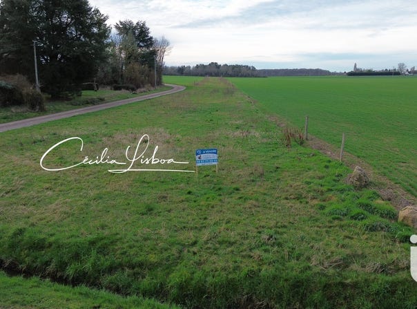 Bazoches-sur-le-Betz, Centre-Val de Loire 45210