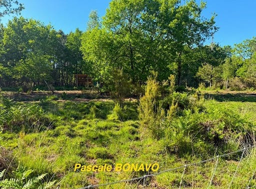 Vendays-Montalivet, Nouvelle-Aquitaine 33930