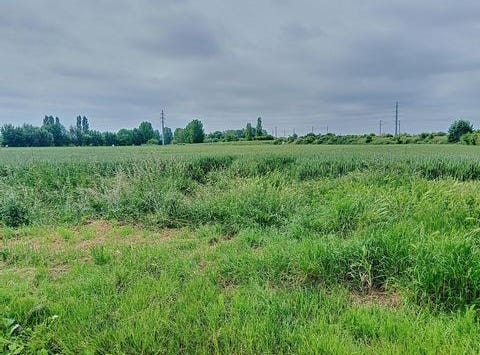 Aire-Sur-La-Lys, Nord-Pas-de-Calais 62120