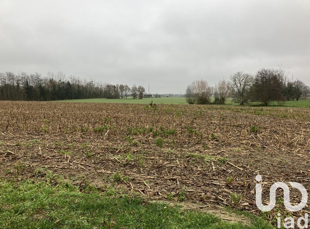 Mulsanne, Pays de la Loire 72230
