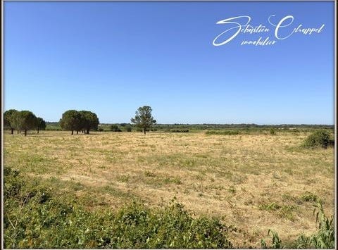 ROUJAN, Languedoc-Roussillon 34320