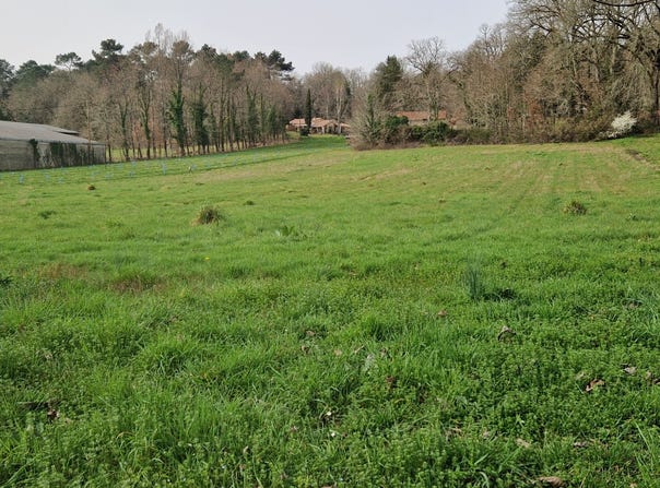 Beauronne, Nouvelle-Aquitaine 24400