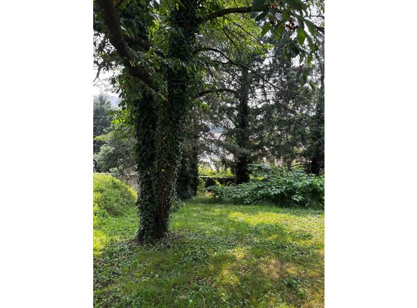Rive-de-Gier, Loire 42800