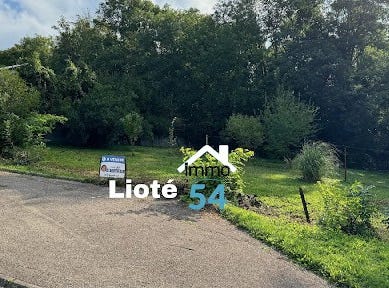 Varangeville, Grand Est 54110