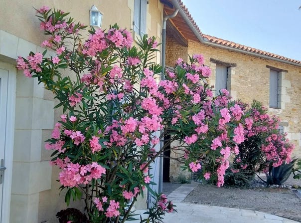 Angliers, Vienne 86330