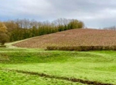 Saint-Amour-Bellevue, Bourgogne 71570