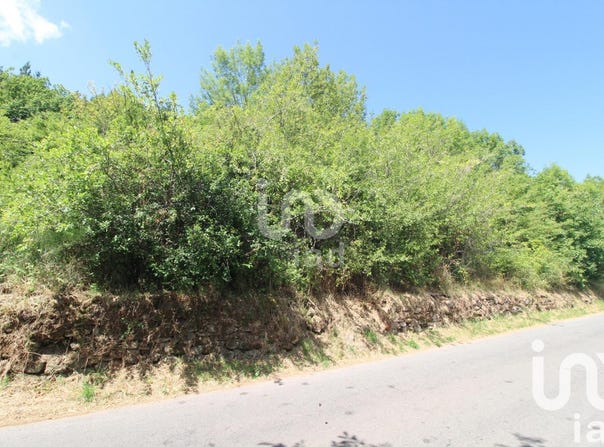 Viala-du-Tarn, Occitanie 12490