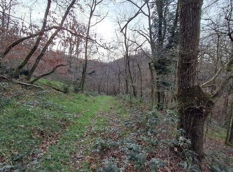 Chasselay, Rhône-Alpes 69380