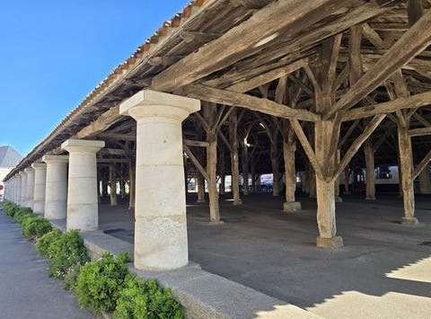 MOUTIERS LES MAUXFAITS, Pays de la Loire 85540