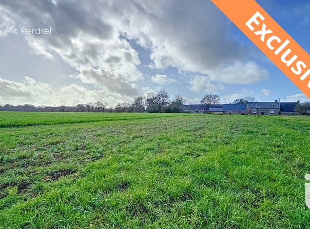 Allaire, Brittany 56350