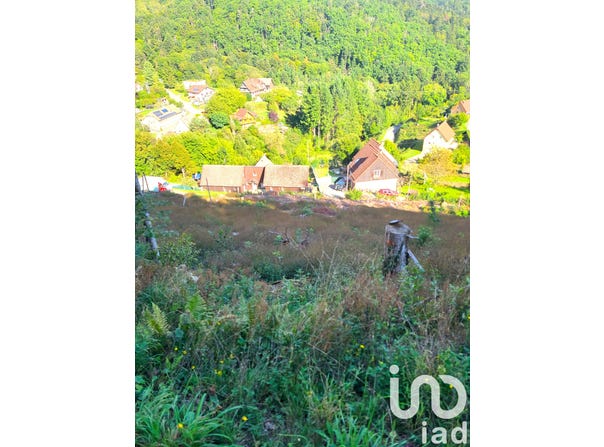 Bourbach-le-Haut, Grand Est 68290