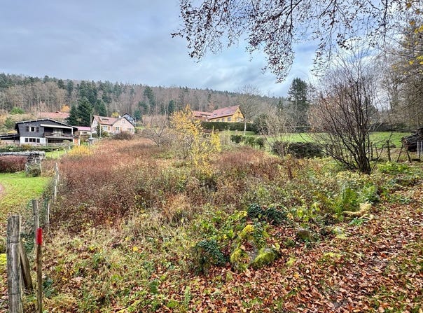 SOLBACH, Grand Est 67130