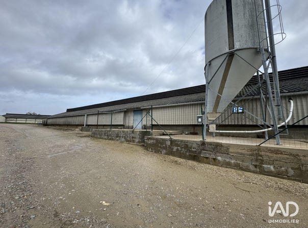 DANGÉ-SAINT-ROMAIN, Nouvelle-Aquitaine 86220