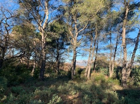 TRETS, Provence-Alpes-Côte d'Azur 13530