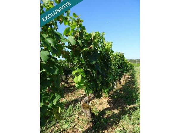 Chagny, Bourgogne 71150
