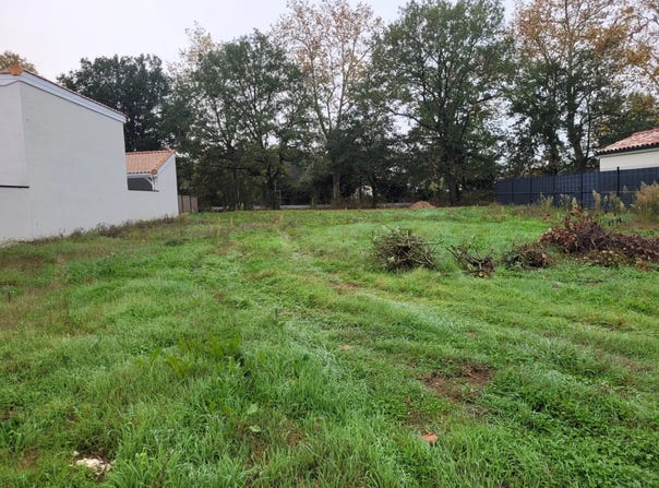 Saint-Sulpice-la-Pointe, Tarn 81370