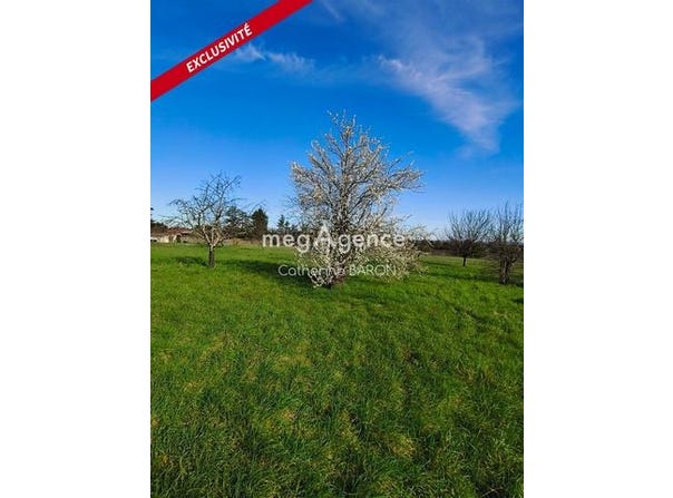 Cognac, Poitou-Charentes 16100