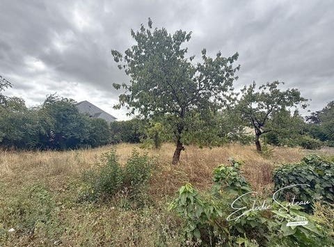 Le Lion-d'Angers, Pays de la Loire 49220