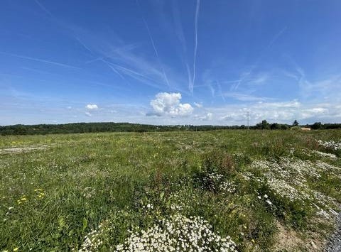 FEYTIAT, Limousin 87220