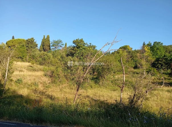 Bargemon, Var 83830