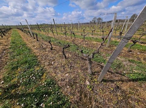 Ordonnac, Aquitaine 33340