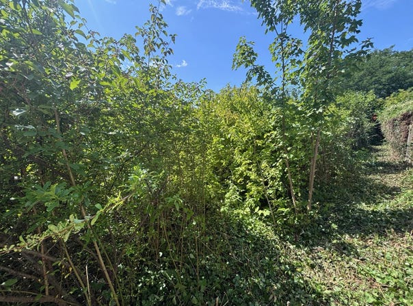 Houilles, Yvelines 78800