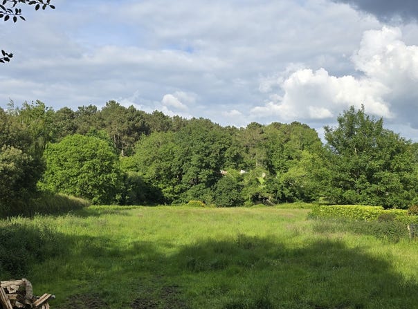 Allaire, Brittany 56350