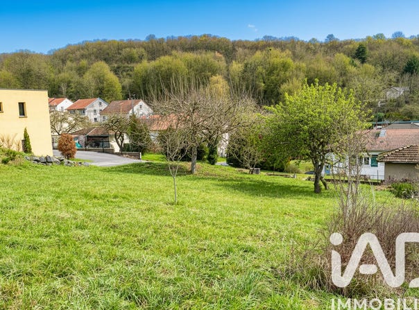 Neuves-Maisons, Grand Est 54230