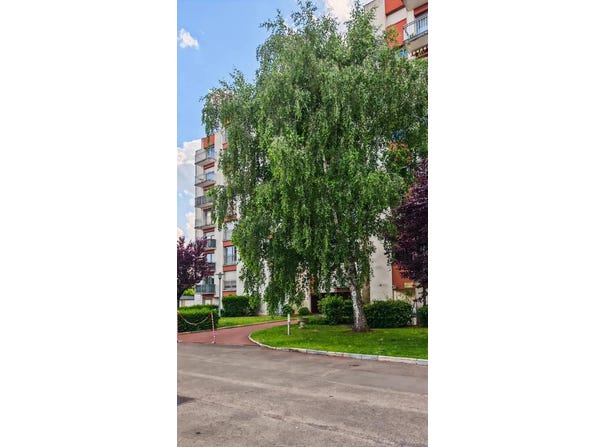 La Riche, Centre-Val de Loire 37520