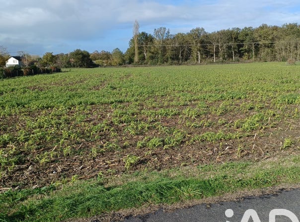 Chouppes, Nouvelle-Aquitaine 86110
