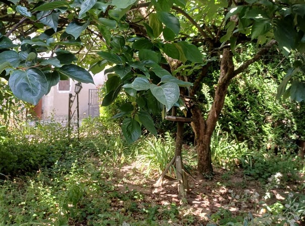 Le Villars, Saône-et-Loire 71700