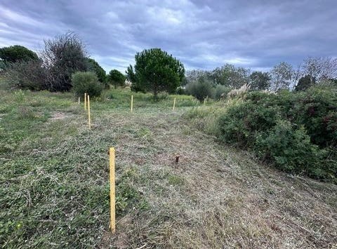 Saint-Hippolyte, Languedoc-Roussillon 66510