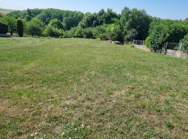La Ferté-Gaucher, Seine-et-Marne 77320