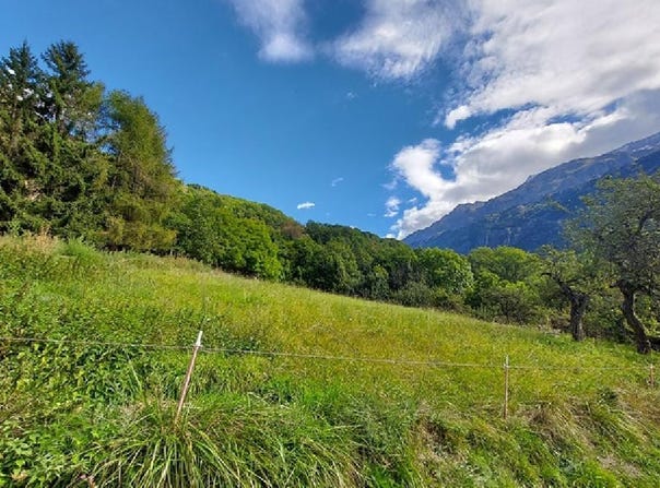VAUJANY, Auvergne-Rhône-Alpes 38114