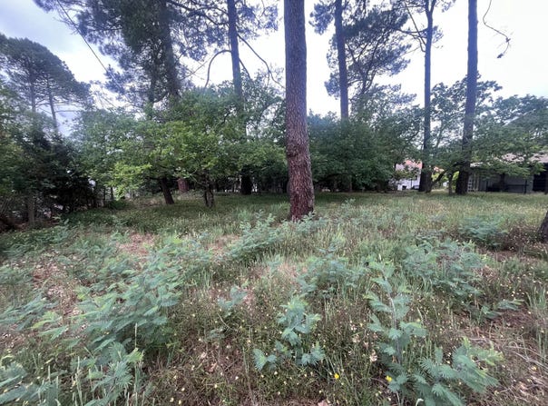 Lacanau, Gironde 33680