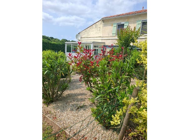 Tesson, Poitou-Charentes 17460