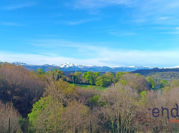 AUBERTIN, Nouvelle-Aquitaine 64290