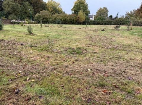 Angrie, Pays de la Loire 49440
