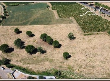 ALIGNAN DU VENT, Languedoc-Roussillon 34290