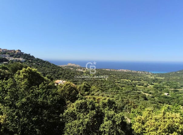 Monticello, Corsica 20220