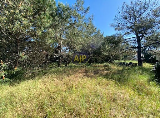 VENDAYS MONTALIVET, Nouvelle-Aquitaine 33930
